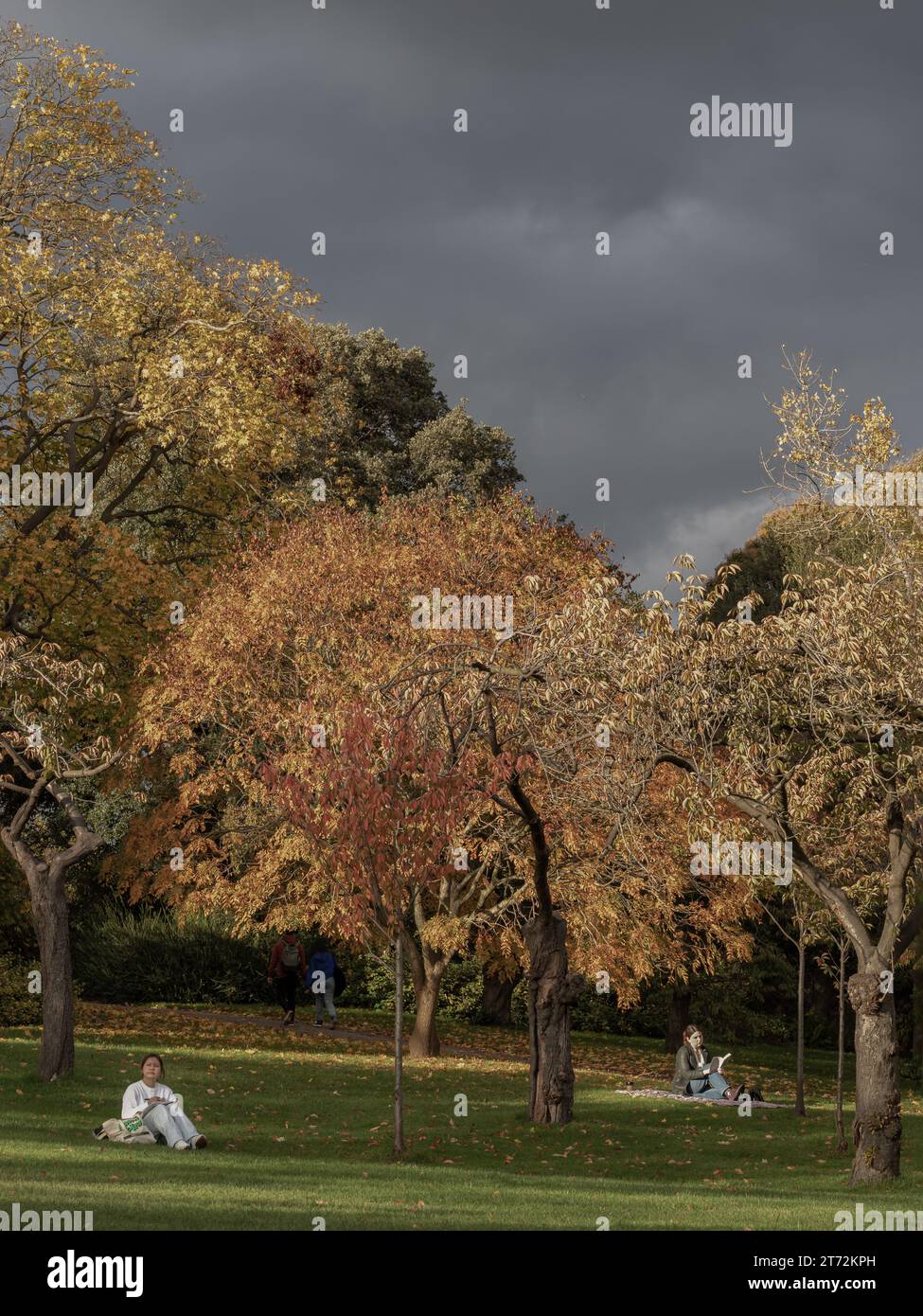 London, Großbritannien - 05. November 2023 - zwei Frauen sitzen auf einem grünen Rasen im Herbstpark. Sie ruht sich an einem sonnigen warmen Tag aus und eine Person schreibt ein Buch und eine pe Stockfoto