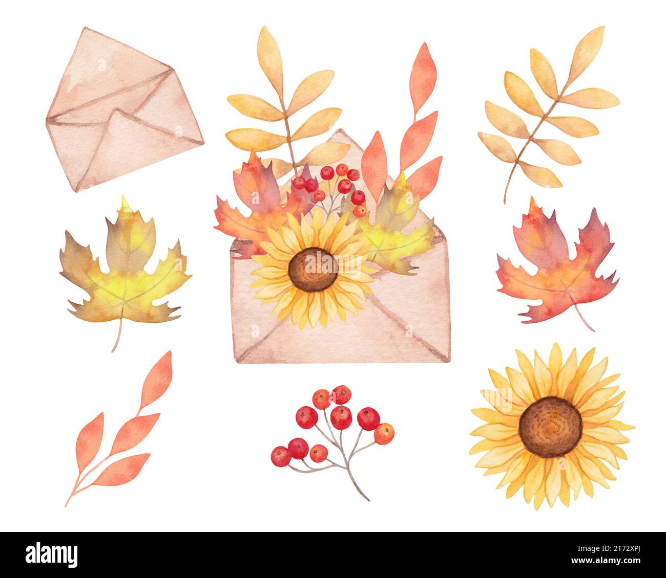 Aquarellzusammensetzung einer Hülle mit Blättern. Sammlung von Herbstelementen Umschlag, Ahornblätter, Sonnenblumen, rowan. Clipart für Grußkarte Stockfoto