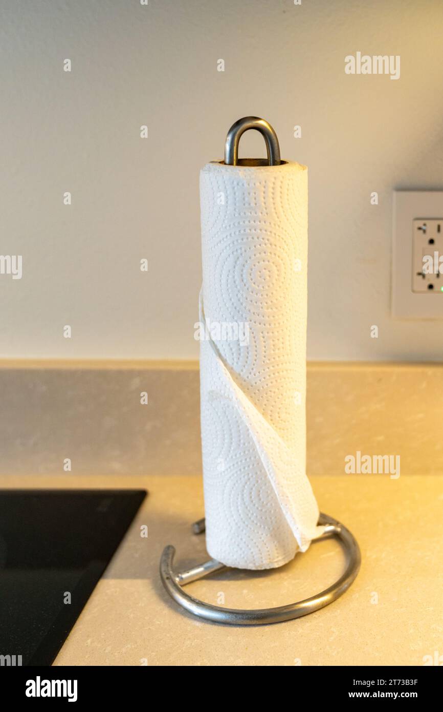 Papiertuch in einem Papiertuchhalter auf einer Küchenzeile Stockfoto