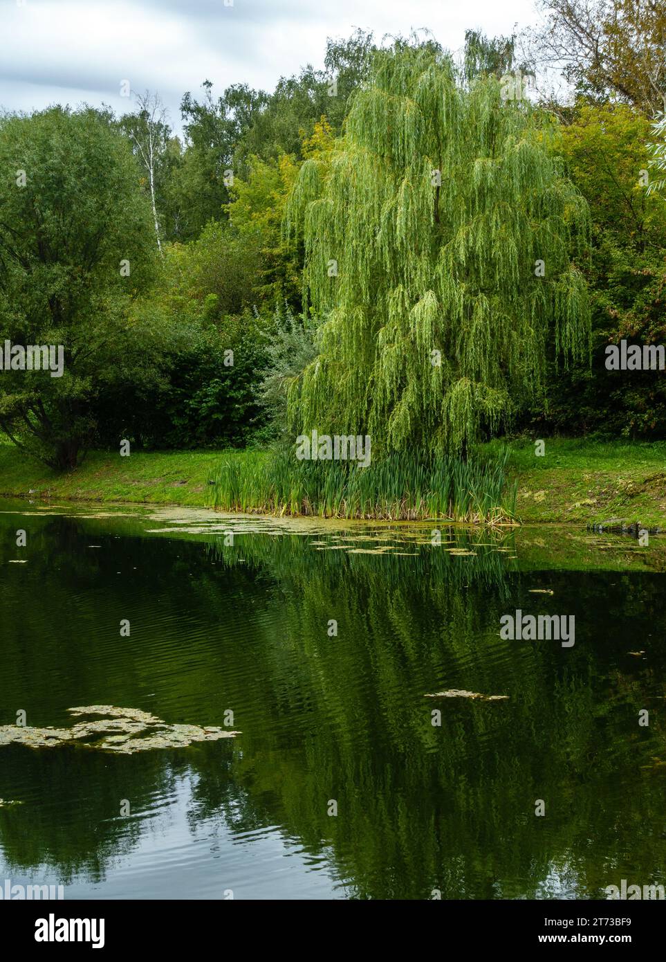 Frühherbst-Szene in einem Park in Moskau, Russland Stockfoto