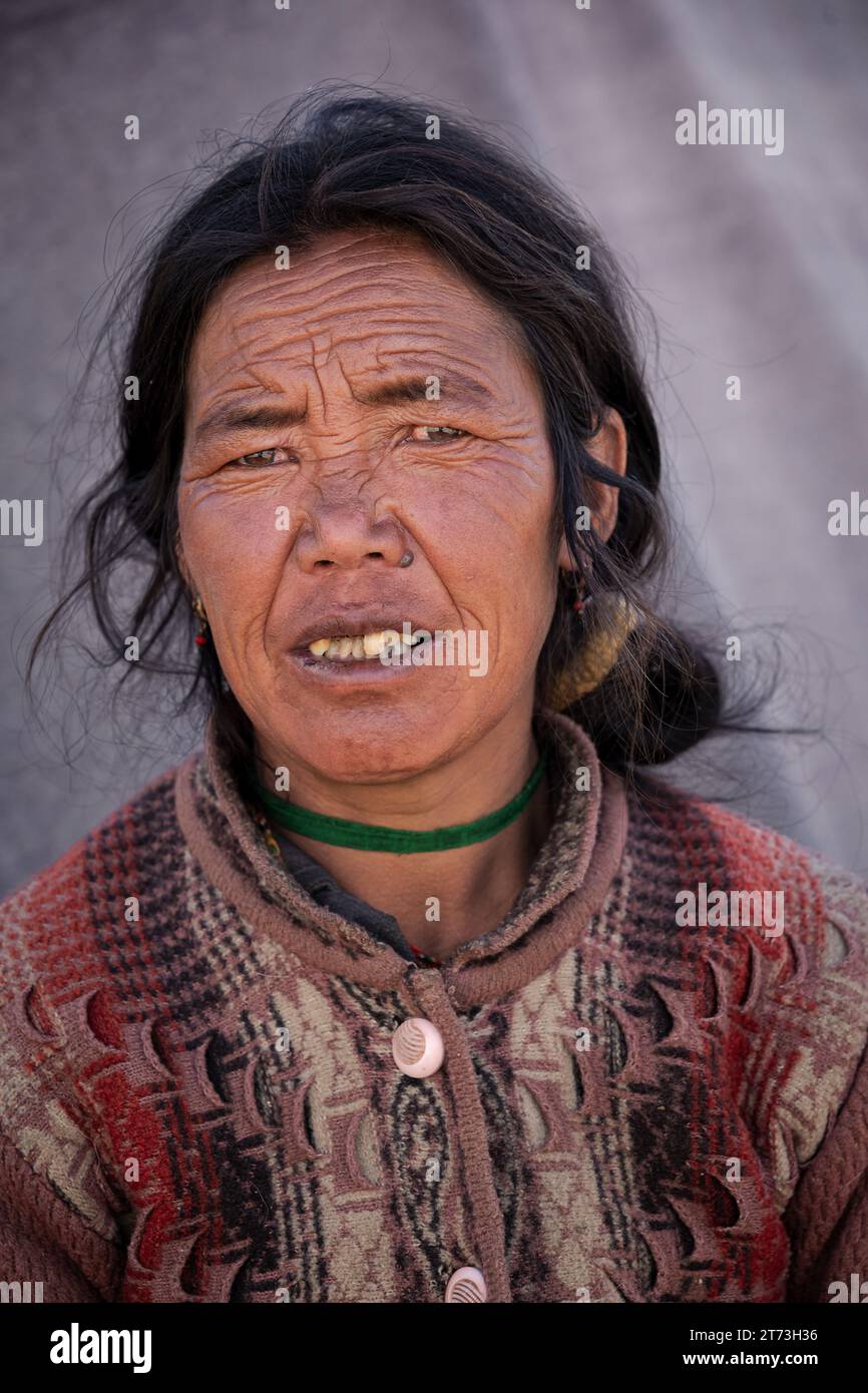 Porträt einer weiblichen Changpa-Nomade, Ladakh, Indien Stockfoto