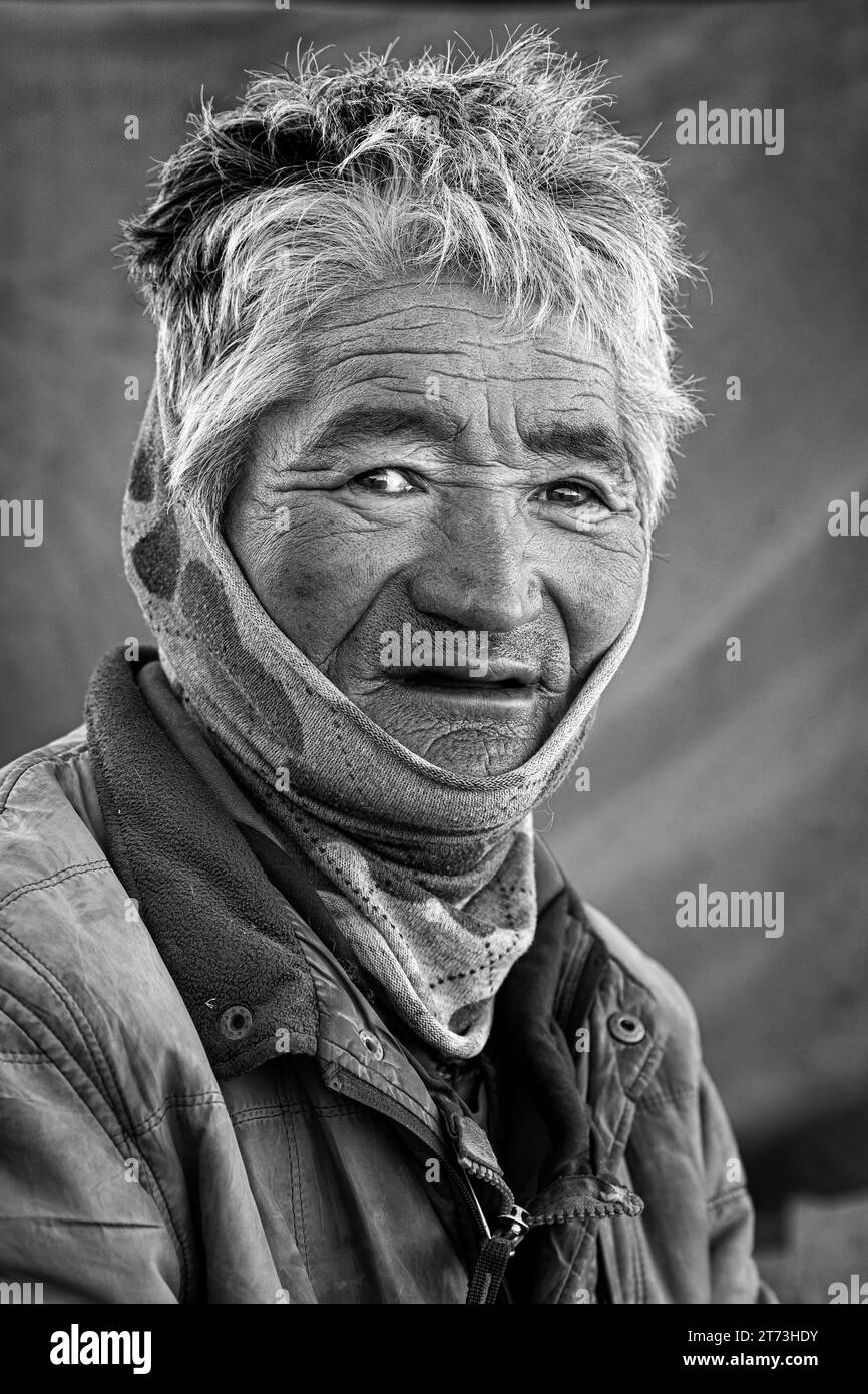 Porträt eines Changpa-Nomaden, Ladakh, Indien Stockfoto