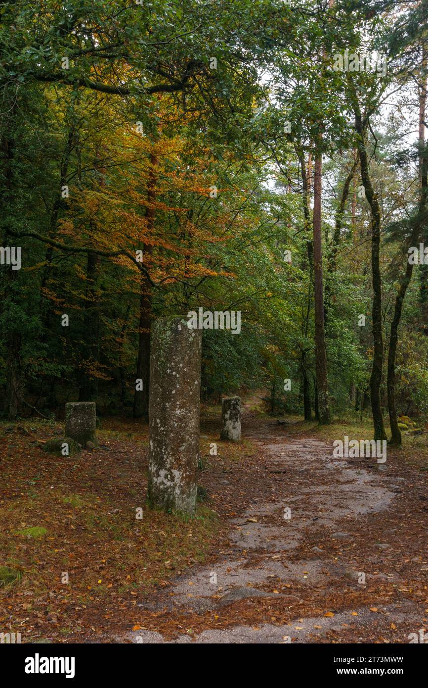 Alte römische Handelsstraße durch den Herbstwald, Peneda-Geres Nationalpark, Vilar da Veiga, Portugal Stockfoto