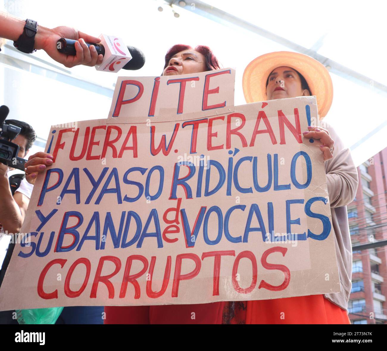 GUADERAS RECIBE DENUNCIA CONTRA WILMAN TERAN Quito, lunes 13 de noviembre del 2023 Consejero de Participacion Ciudadana Juan Esteban Guarderas, recibe denuncia de supuesta ilegalidad en la designacion del Presidente de la Judicatura Wilman Teran, por parte del colectivo de Valientes, y otros grupos sociales en las afueras de la Judicatura. EN la grafica:Ida Paez Fotos:Rolando Enriquez/API Quito Pichincha Ecuador POL-GUADERASRECIBEDENUNCIACONTRAWILMANTERAN-93b705813a054b330fb6d544c750c3de *** GUADERAS ERHÄLT DENUNZIERUNG GEGEN WILMAN TERAN Quito, Montag, 13. November 2023 Berater Stockfoto