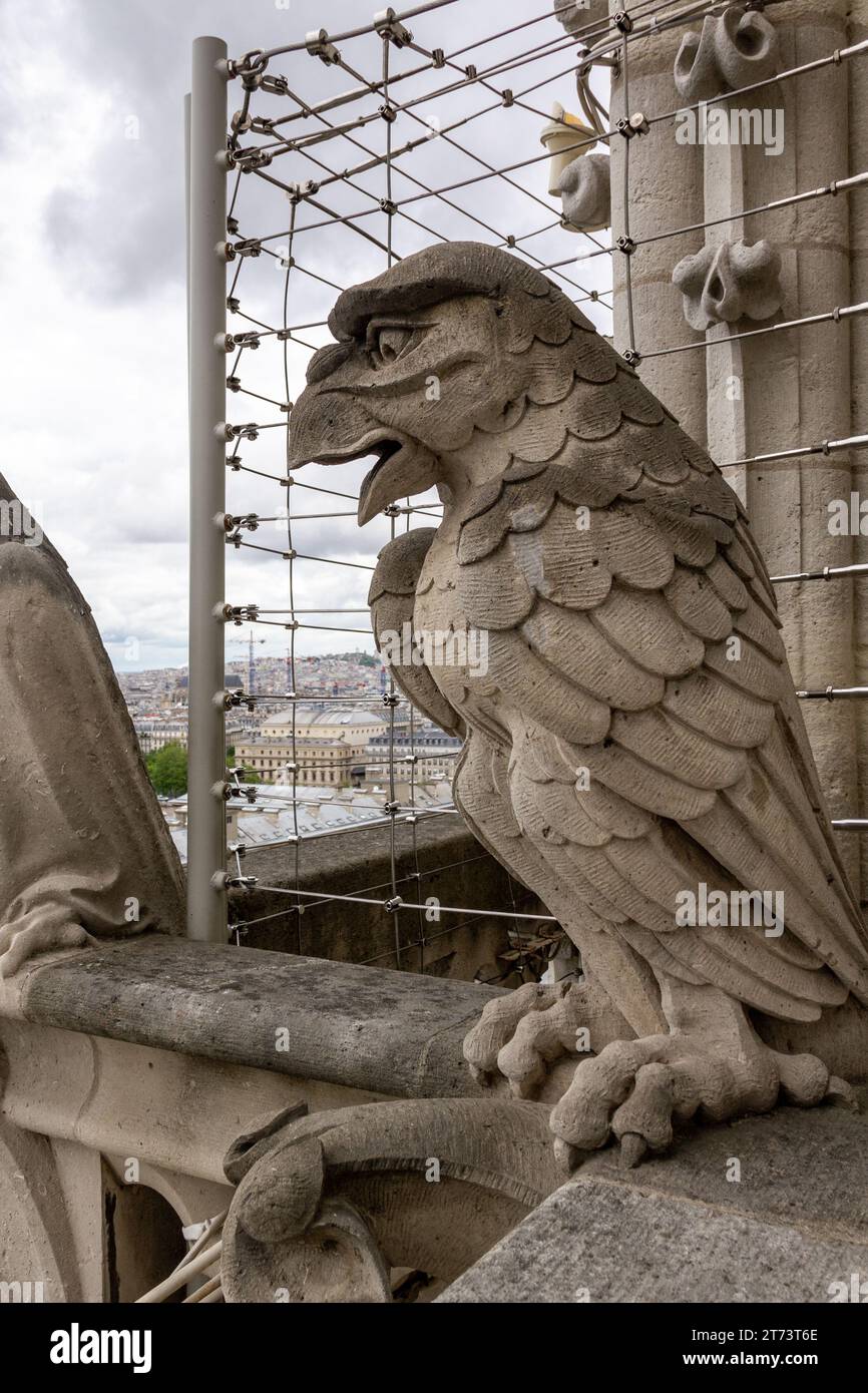 PARIS, FRANKREICH - 13. MAI 2013: Dies ist eine der Schimerstatuen, die im obersten Stockwerk am Fuße der Türme von Notre-Dame de Paris installiert sind Stockfoto