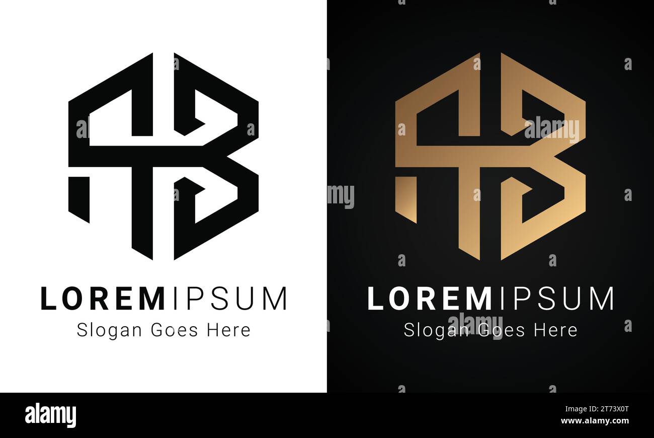 Luxuriöses Initial ab- oder BA-Monogramm-Logo mit Textbuchstaben Stock Vektor