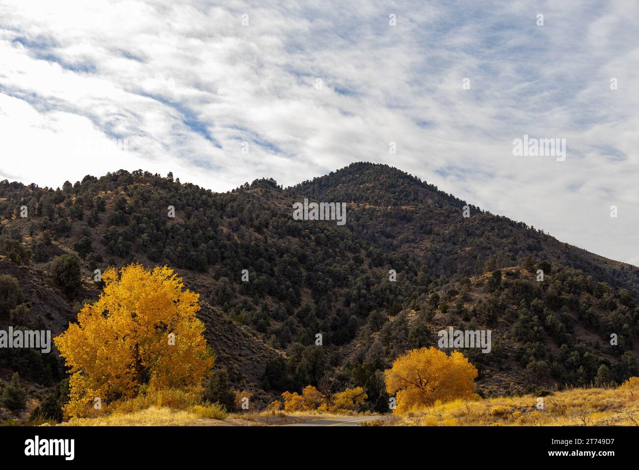 Durch den 6 Mile Canyon, der Virginia City mit Dayton verbindet. Stockfoto