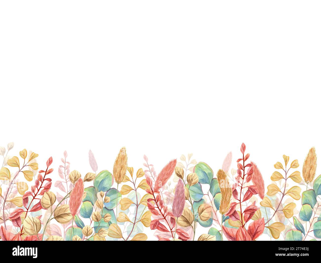 Blumengestell aus getrocknetem Lagurus, Eukalyptuszweig, abstrakten Blüten. Hasenschwanz, Silberdollar Eukalyptus, Spikelett. Pflanzliche Zusammensetzung. Aquarell Abb. Stockfoto