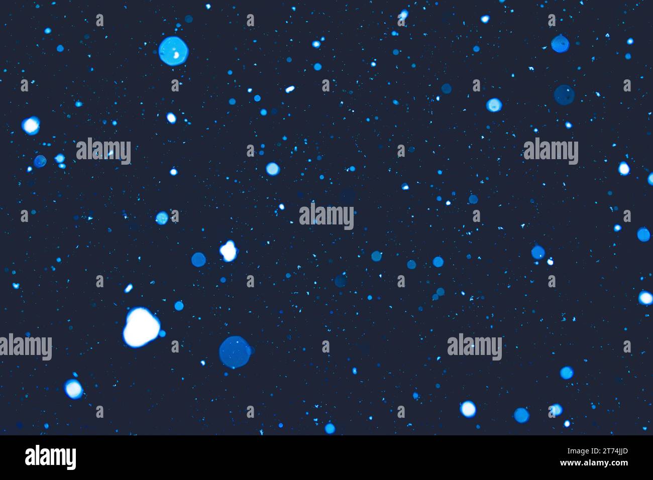 Abstrakt von blau getönten Schneeflocken, die nachts fallen, Kreise unterschiedlicher Größe und Farben, die sich wie ein winterliches Sternenfeld in die Ferne ziehen. Stockfoto