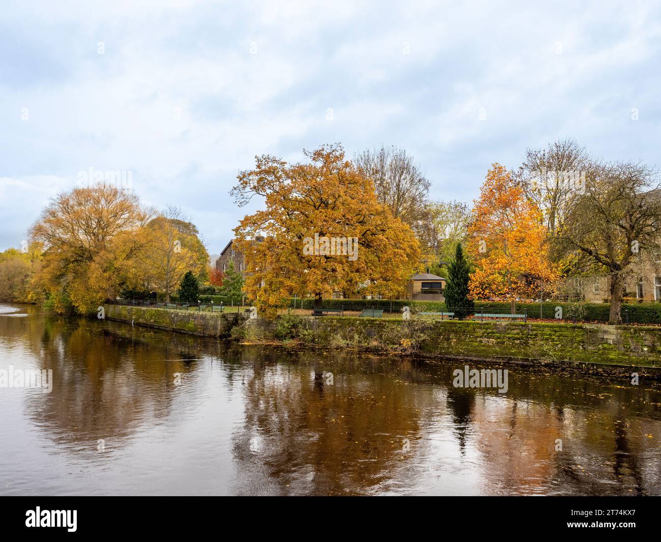 Tittybottle Park im Herbst am Ufer des Flusses Wharfe in Otley Stockfoto