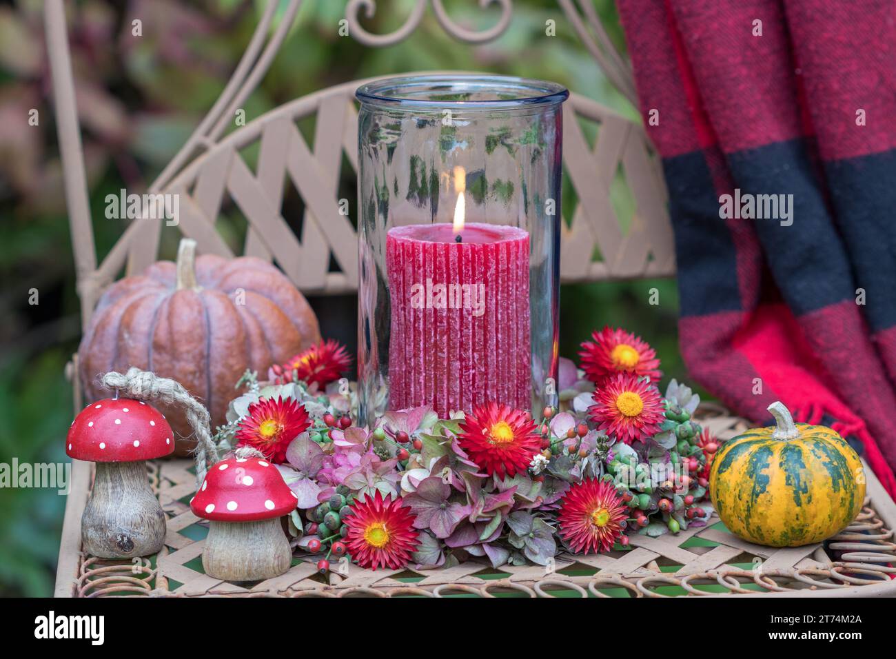 Arrangement mit roter Kerze, Hortensienkranz und Strohblumen und Holzfliegen-Agaren Stockfoto