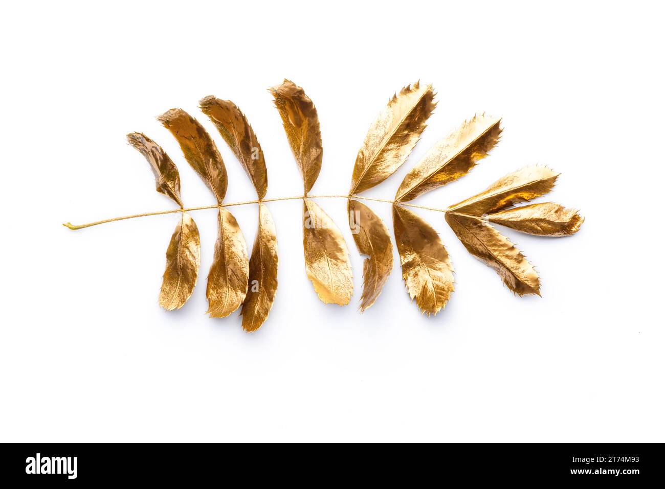 Goldenes tropisches Blatt, Blattgold isoliert auf weißem Hintergrund. Stockfoto