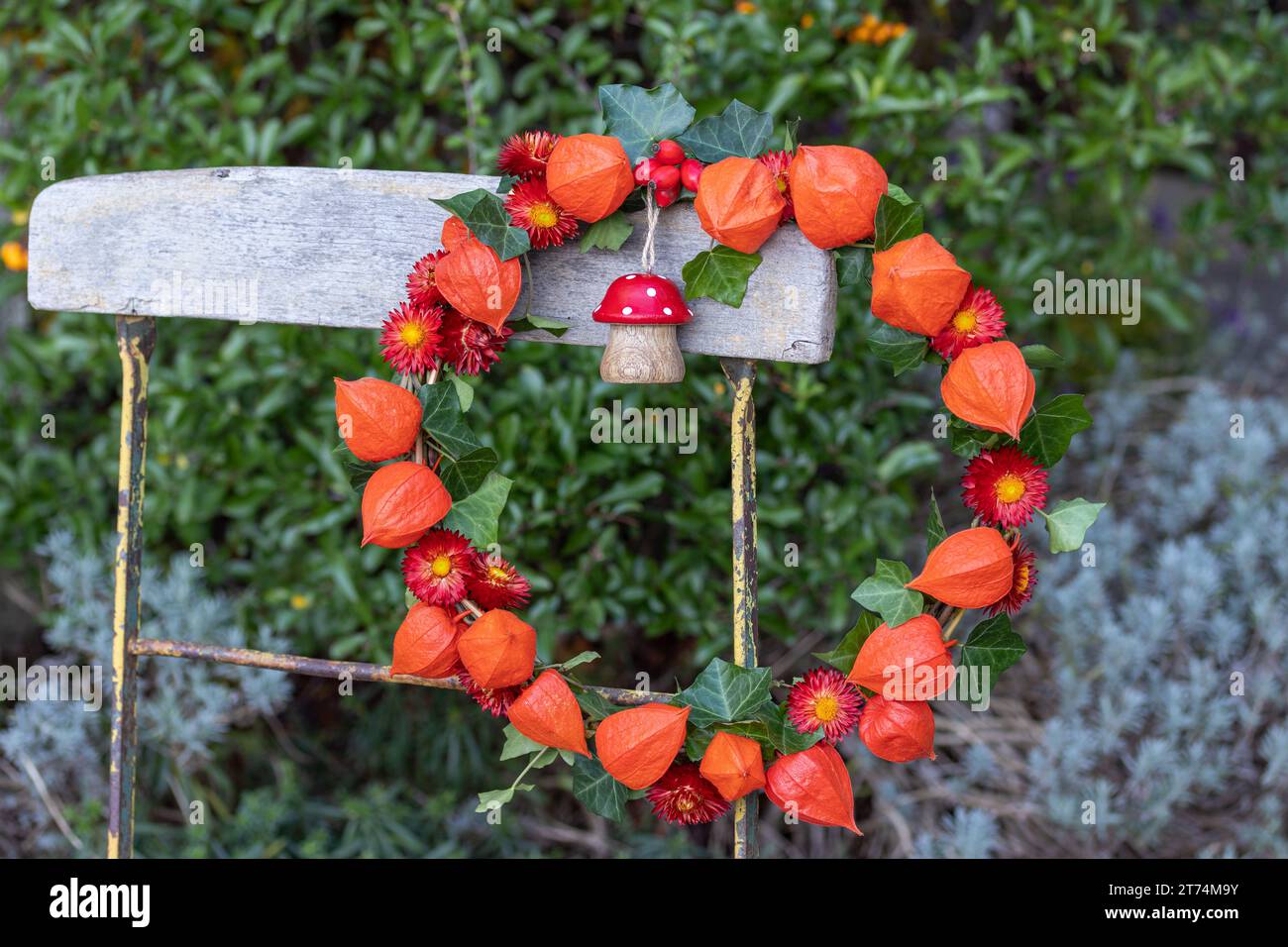 Kranz aus Physalis, Strohblumen und Efeublättern, verziert mit einer Holzfliege, die auf einem Gartenstuhl hängt Stockfoto