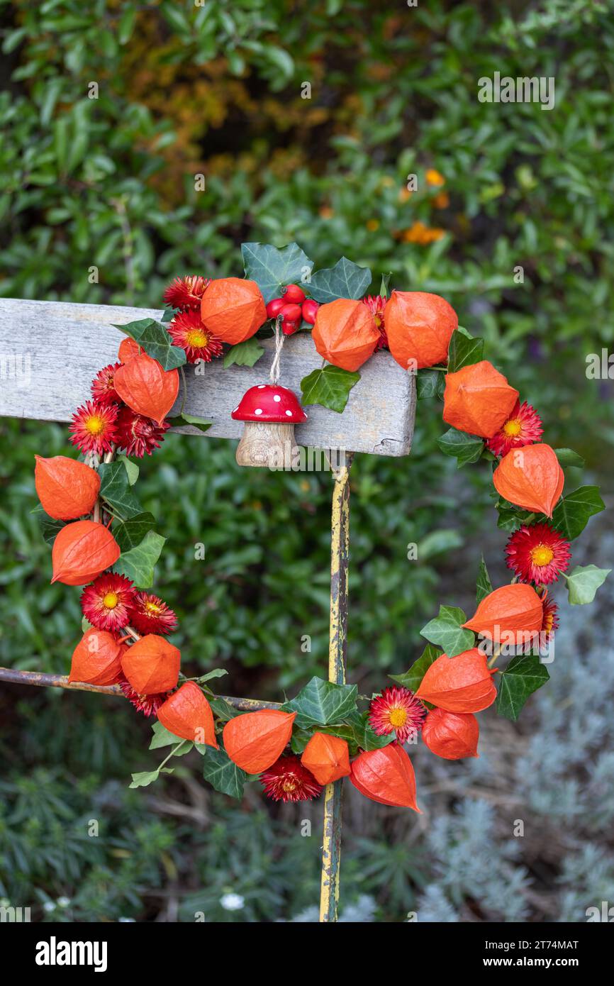 Kranz aus Physalis, Strohblumen und Efeublättern, verziert mit einer Holzfliege, die auf einem Gartenstuhl hängt Stockfoto
