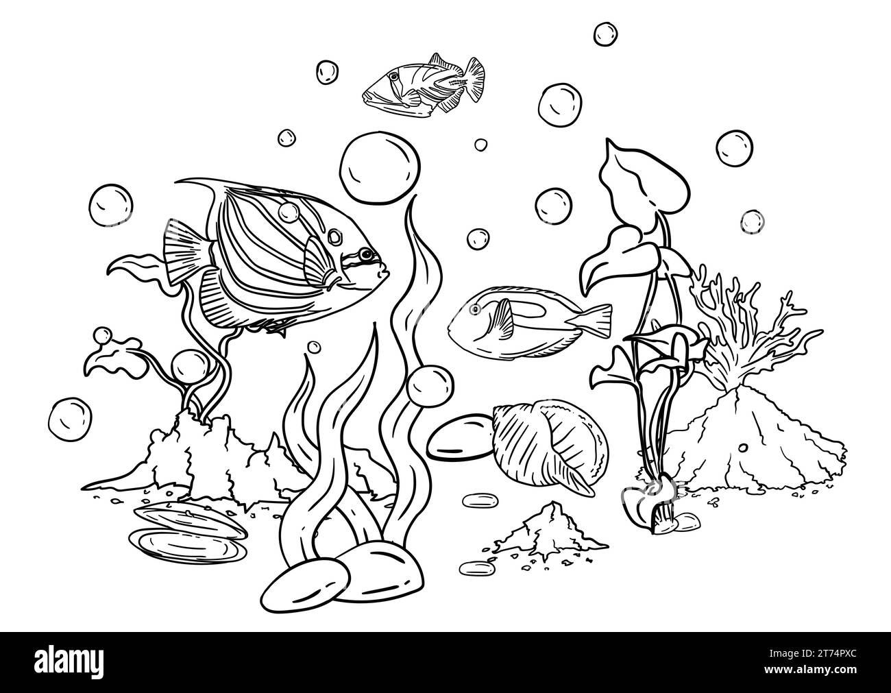 Vektor-Illustration eines Malbuchs der Unterwasserwelt mit schönen Fischen, Muscheln, Algen im Meer Stock Vektor