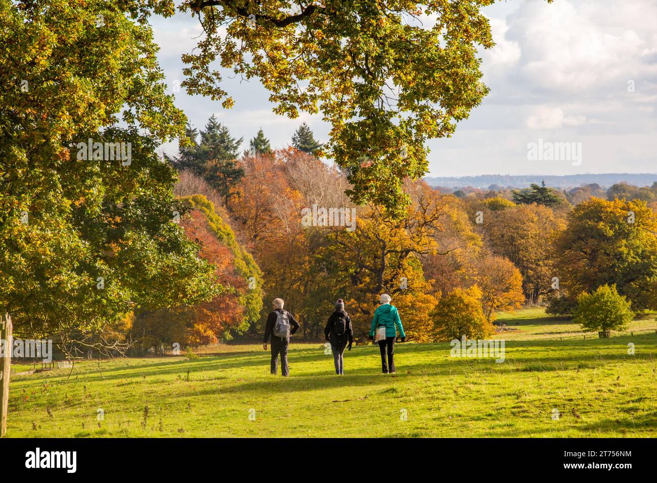 Menschen, die in der Herbstsonne in Chirk North Wales durch das Gelände und die Parkanlage des National Trust Chirk Castle gehen Stockfoto