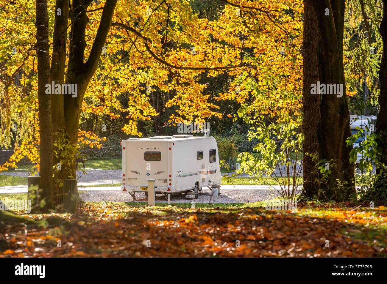 Caravan Caravan Caravan bei Sonnenschein im Caravan and Motorhome Club im Lady Margaret's Park Chirk North Wales Stockfoto