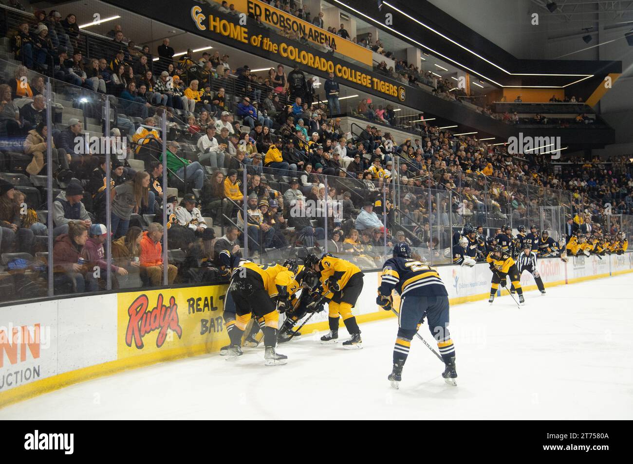 Das Eishockeyteam Colorado College spielt in der Robson Arena auf dem Campus des Colorado College in der Innenstadt von Colorado Springs. Robson kann 3500 Fans aufnehmen. Stockfoto