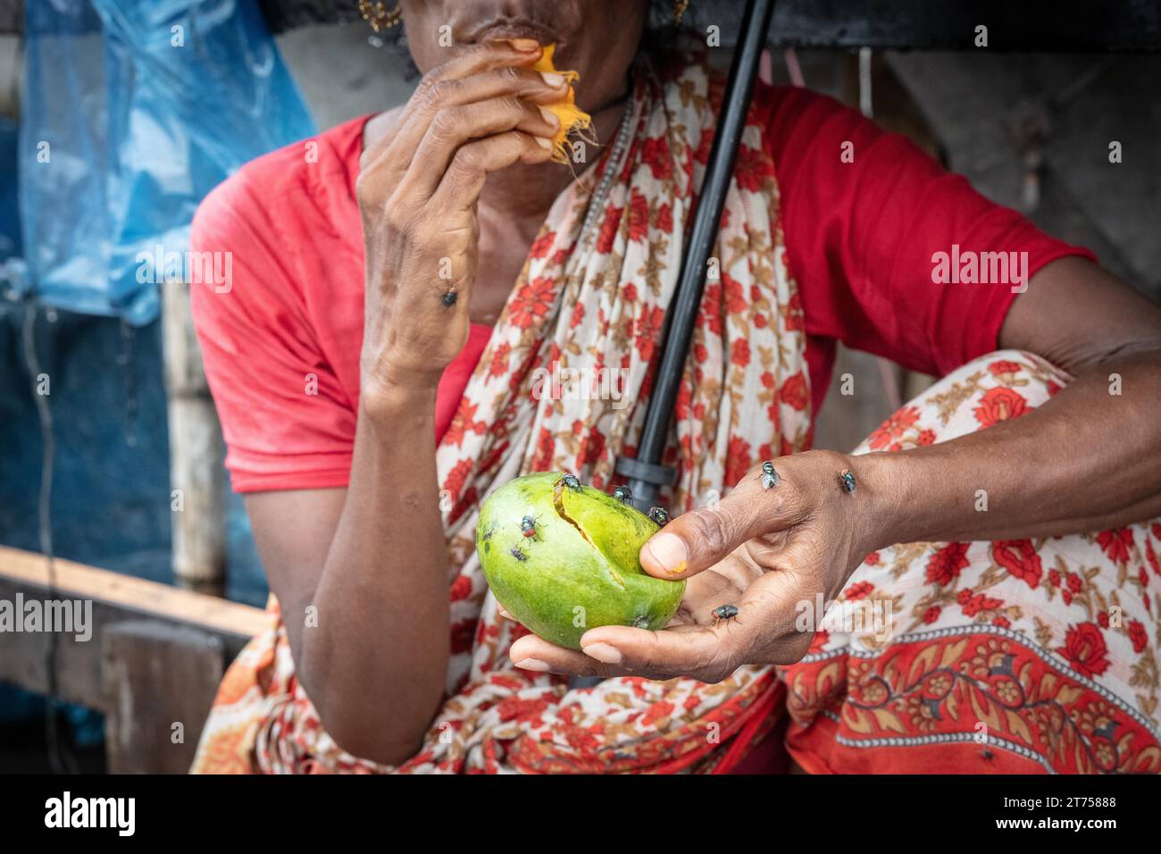 Frau isst eine Mango vor ihrem Haus, schützt sich mit einem Regenschirm vor einer Monsundusche, Tejgaon Slum Gegend, Dhaka, Bangladesch Stockfoto