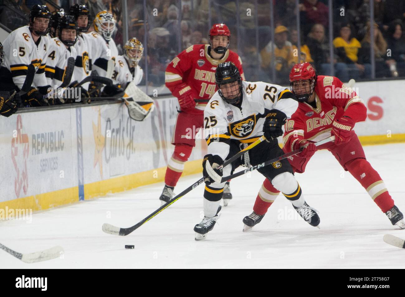 Riley Stuart vom Colorado College (weiß 25) bringt den Puck während eines College-Hockeyspiels gegen die Denver University ins Eis. Stockfoto