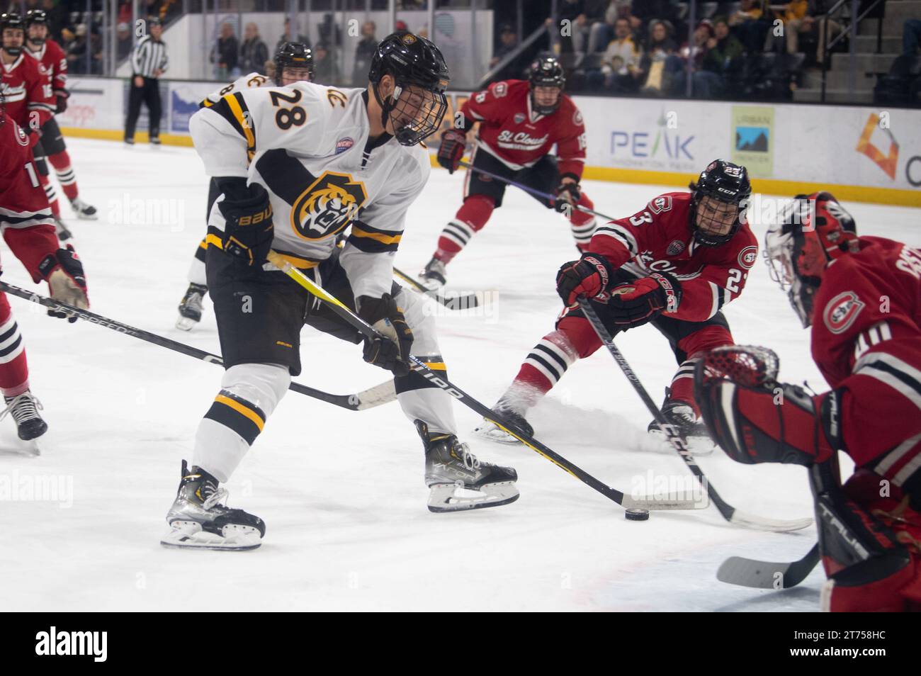 Gleb Veremyev vom Colorado College (#28) trifft während eines College-Hockeyspiels in der Robson Arena, Colorado College gegen das Tor der Denver University. Stockfoto