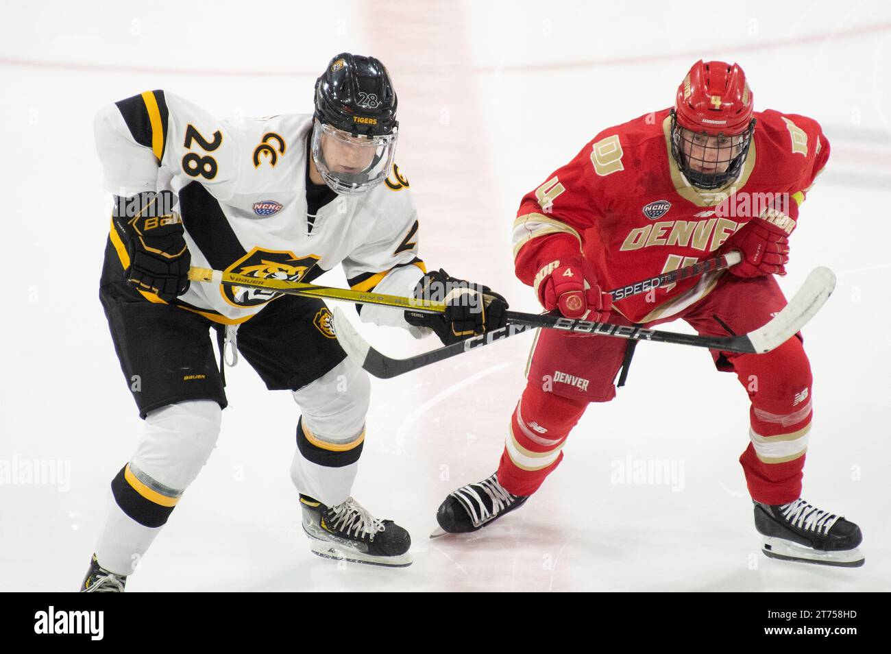 Gleb Veremyev vom Colorado College (#28) kämpft um die Position eines Spielers der Denver University während eines Collegehockeyspiels, der Robson Arena Stockfoto