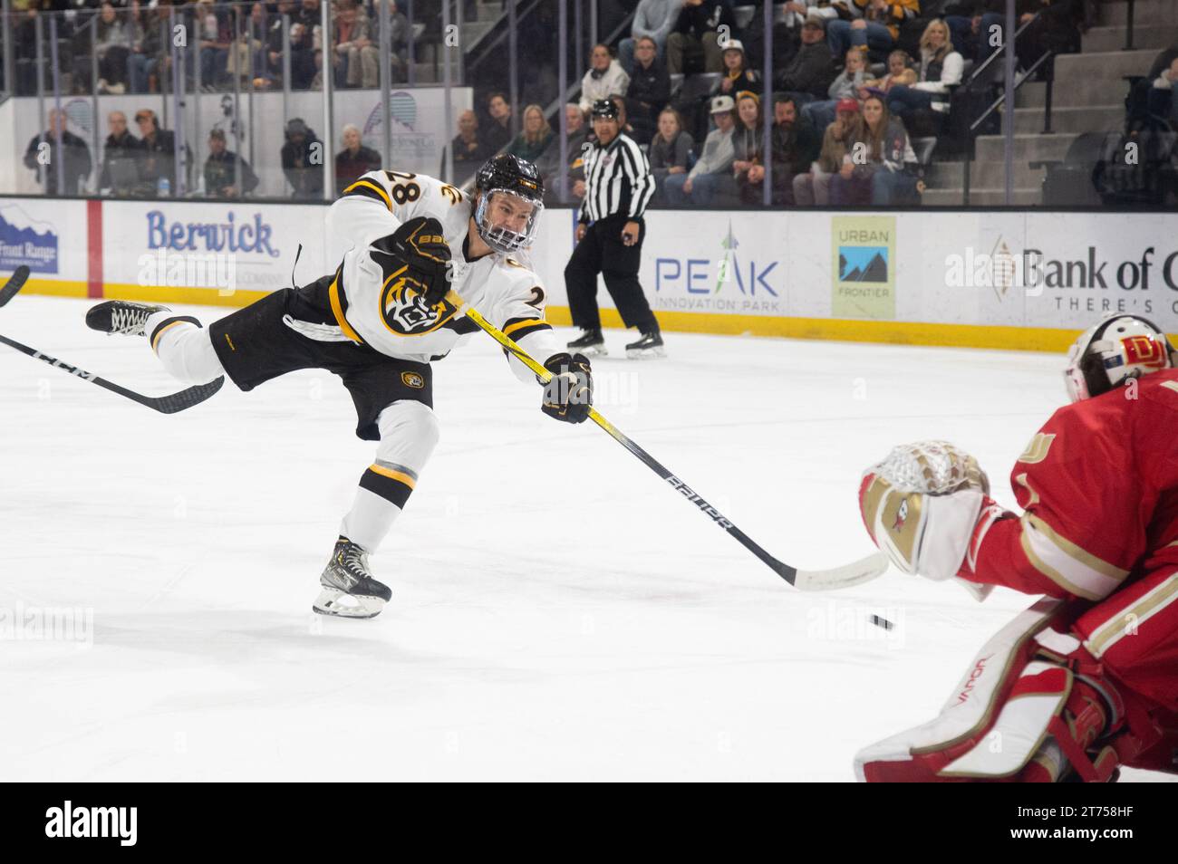 Gleb Veremyev vom Colorado College (#28) trifft während eines College-Hockeyspiels in der Robson Arena, Colorado College gegen das Tor der Denver University. Stockfoto