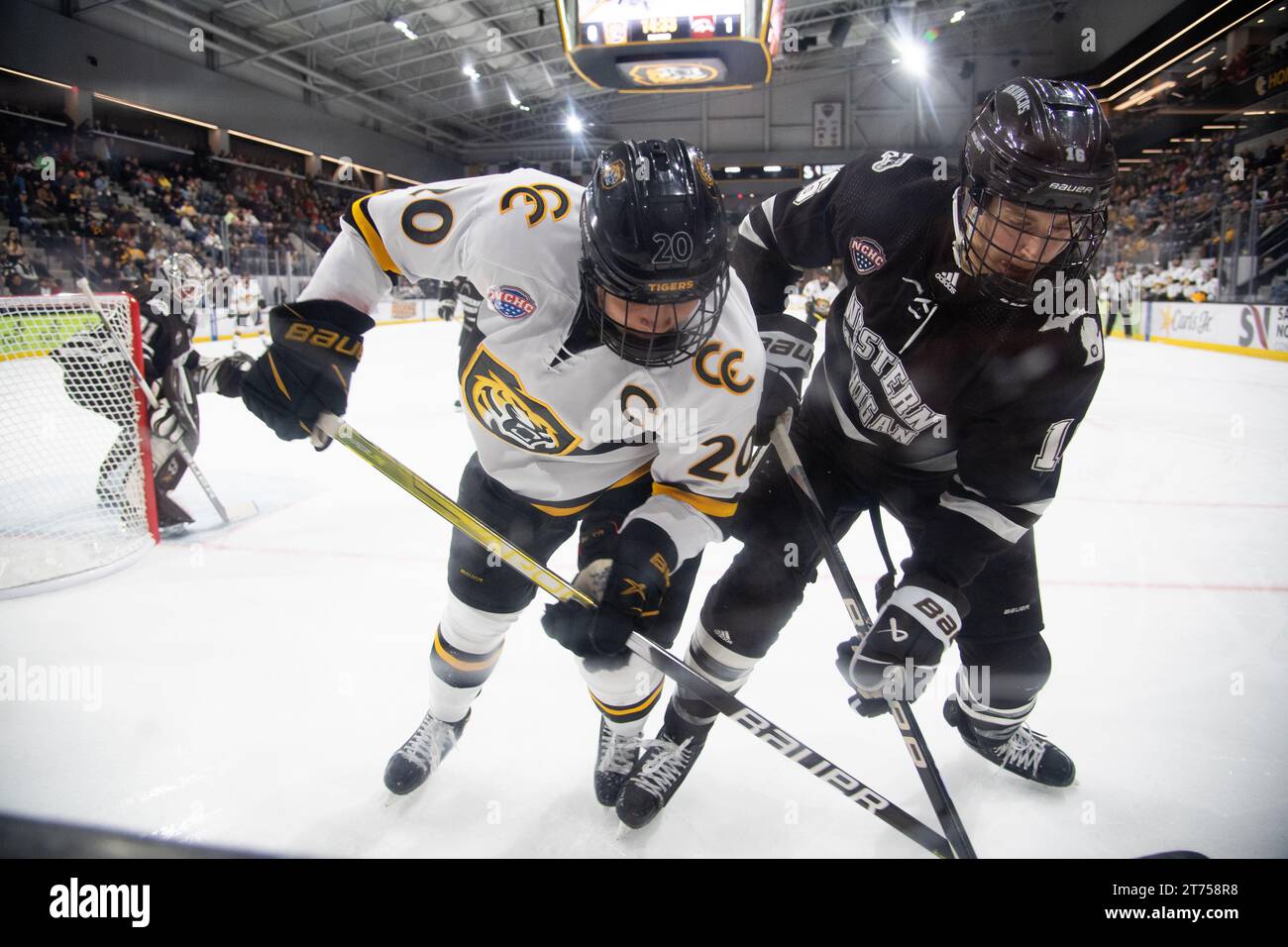 Logan will vom Colorado College (weißes Trikot) kämpft mit einem Spieler aus Western Michigan während eines Collegehockeyspiels um den Puck. Stockfoto