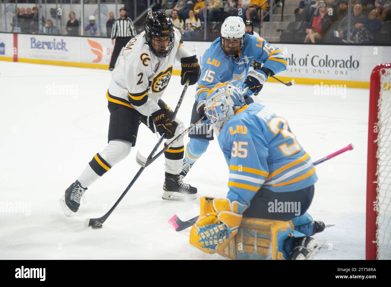 Zaccharya Wisdom vom Colorado College (weißes Jersey) schießt während eines College-Hockeyspiels einen Schuss auf das Tor der Long Island University aus der Falte. Stockfoto