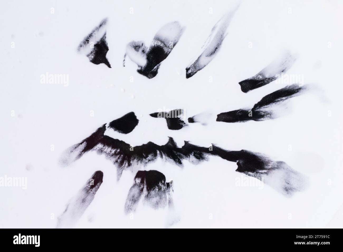 Schwarzes Aquarell flößt isolierte glatte weiße Oberfläche Stockfoto
