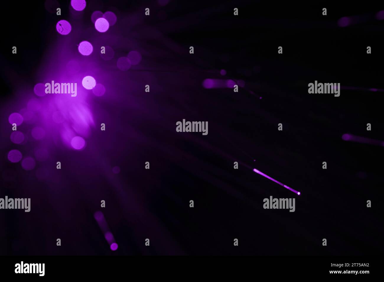 Glasfaserkabel mit violettem Licht Stockfoto