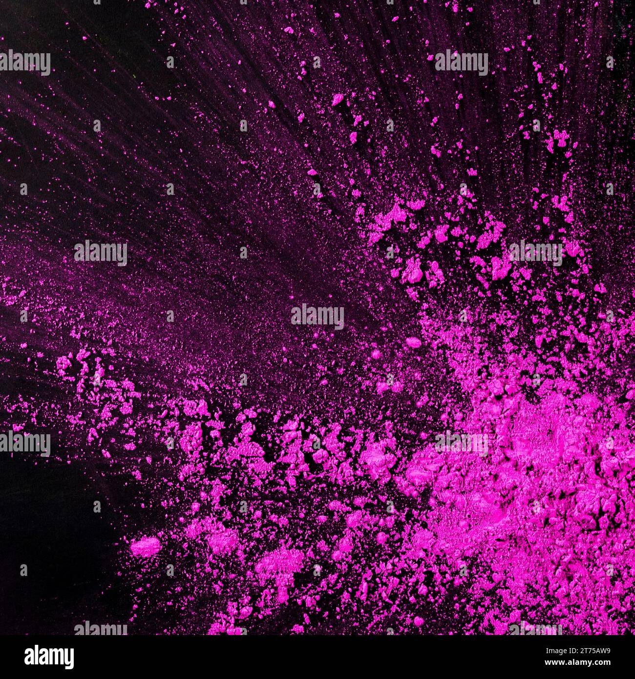 Rosafarbene Staubpartikel spritzen vor schwarzem Hintergrund Stockfoto