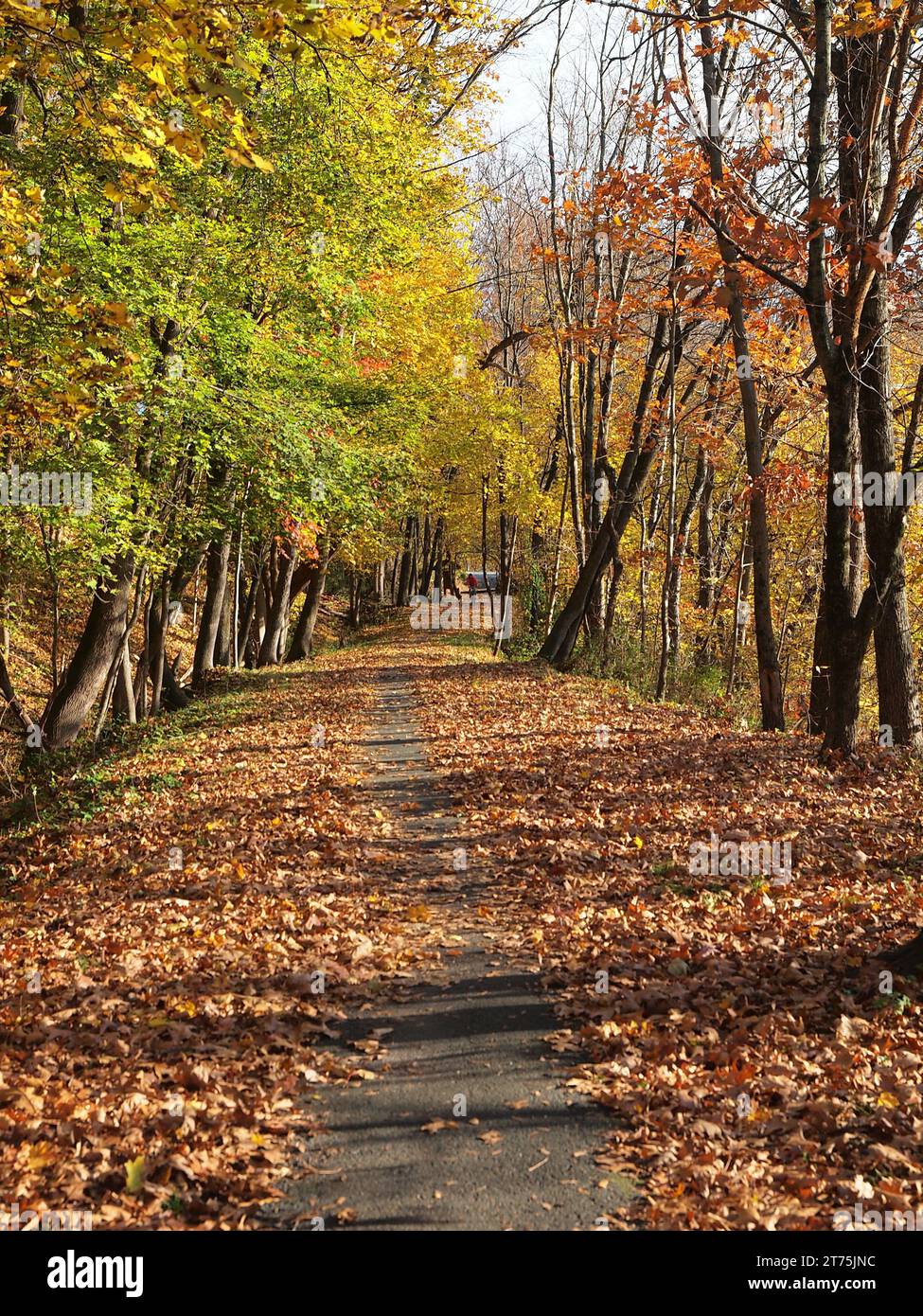 Ehemalige Delaware & Hudson Canal Route in der Nähe von Port Jervis, New York. Dieser Teil ist jetzt ein 1,5 km langer Weg. Es wurden alte Versorgungsmasten gesehen, die nicht mehr in Ordnung sind. Stockfoto