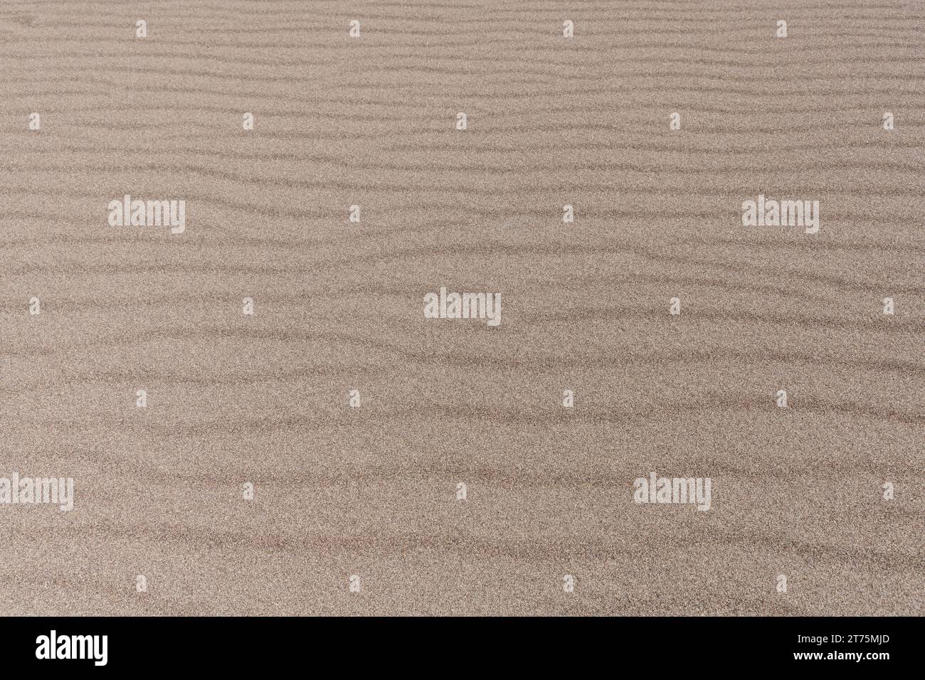 Nahaufnahme von Wüstensand mit einem sich kräuselnden Wellenmuster, das sich horizontal über das Bild erstreckt. Stockfoto