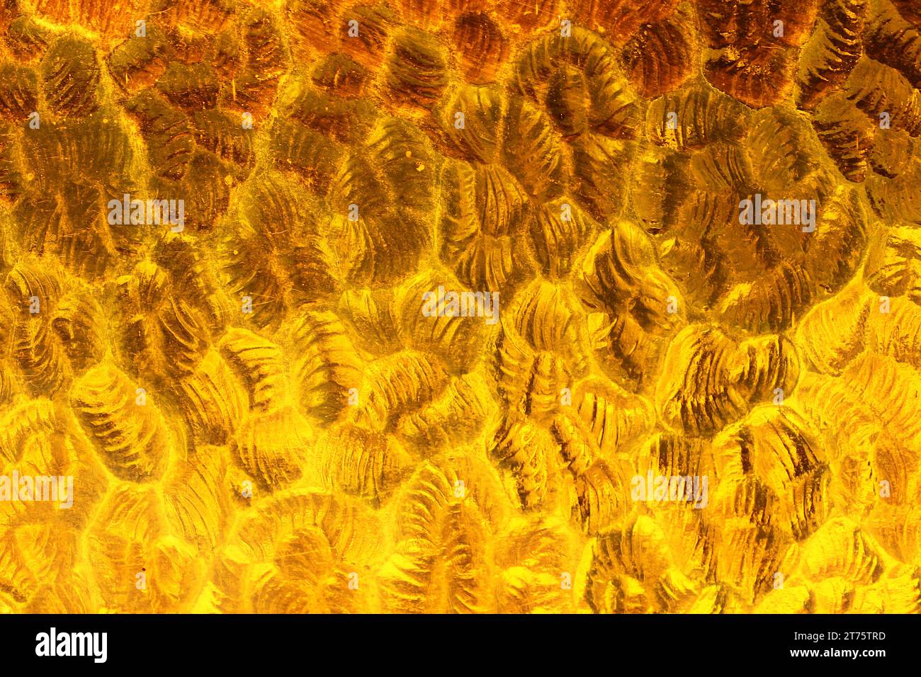 Strukturiertes Glas mit einem Muster aus geschwungenen Reliefs, in Gelbtönen gefärbt, die einen Farbverlauf mit dem Zusammenspiel von Licht und Schatten erzeugen. Stockfoto