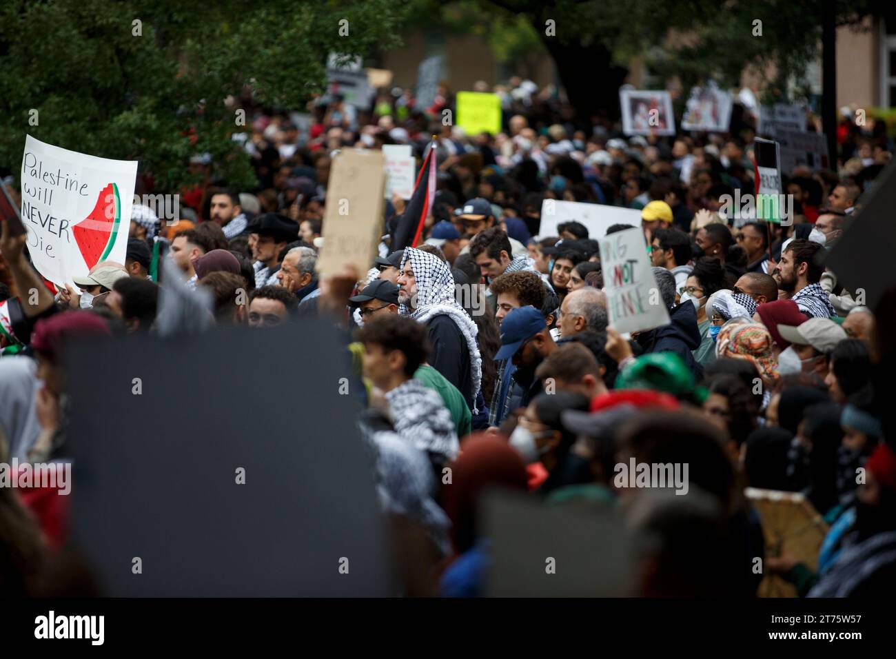 Austin, Texas, USA. November 2023. Tausende nehmen am 12. November an Protesten auf dem Gelände des Texas State Capitol in Austin, Texas, Teil. Die Demonstranten hörten den Rednern zu, beteten und marschierten solidarisch mit dem Volk von Gaza, das sich jetzt in ihrem zweiten Monat der Belagerung und Bombardierung durch Israel befindet und das elf Tausend Zivilisten getötet hat. (Kreditbild: © Jaime Carrero/ZUMA Press Wire) NUR REDAKTIONELLE VERWENDUNG! Nicht für kommerzielle ZWECKE! Stockfoto