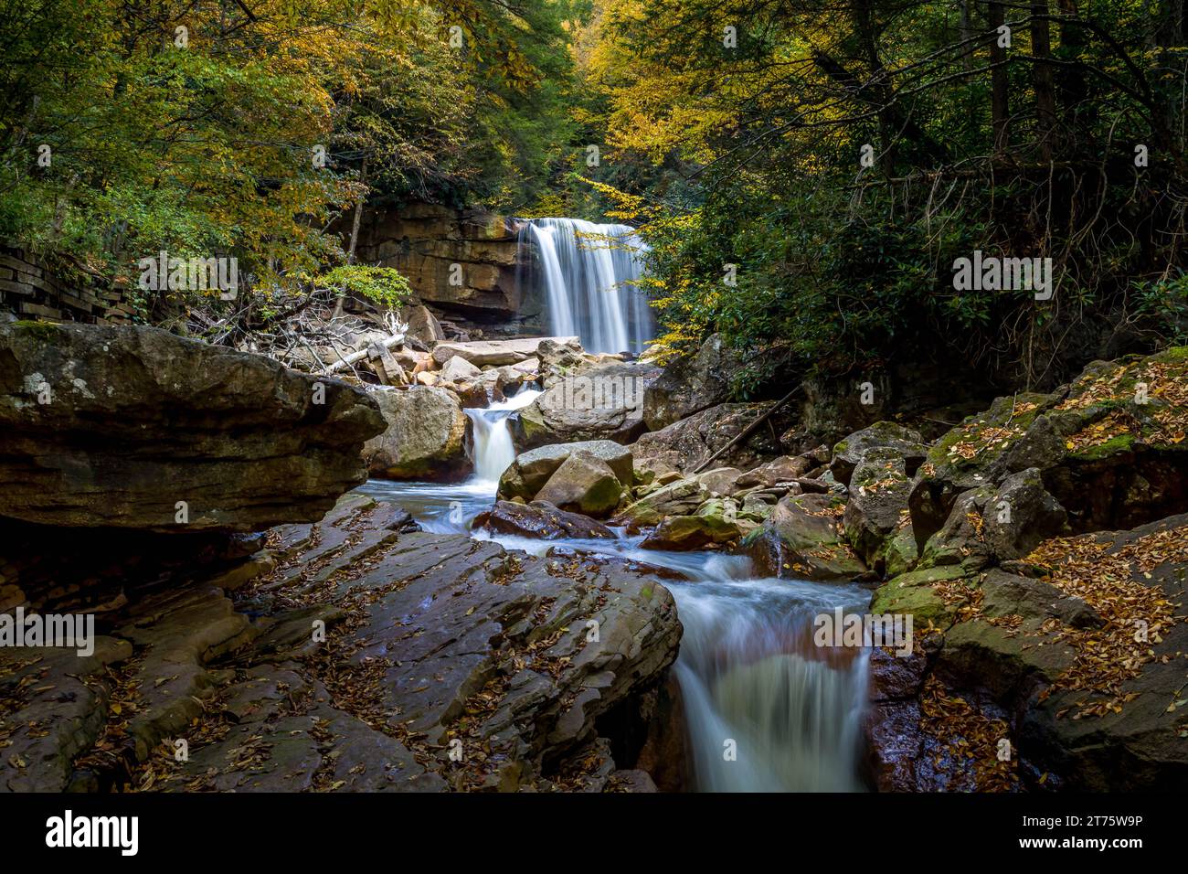 Douglas Falls, Tucker, WV diese Wasserfälle sind reich an Geschichte, ein Ort, an dem einst Kohle zu Koks verbrannt wurde Stockfoto