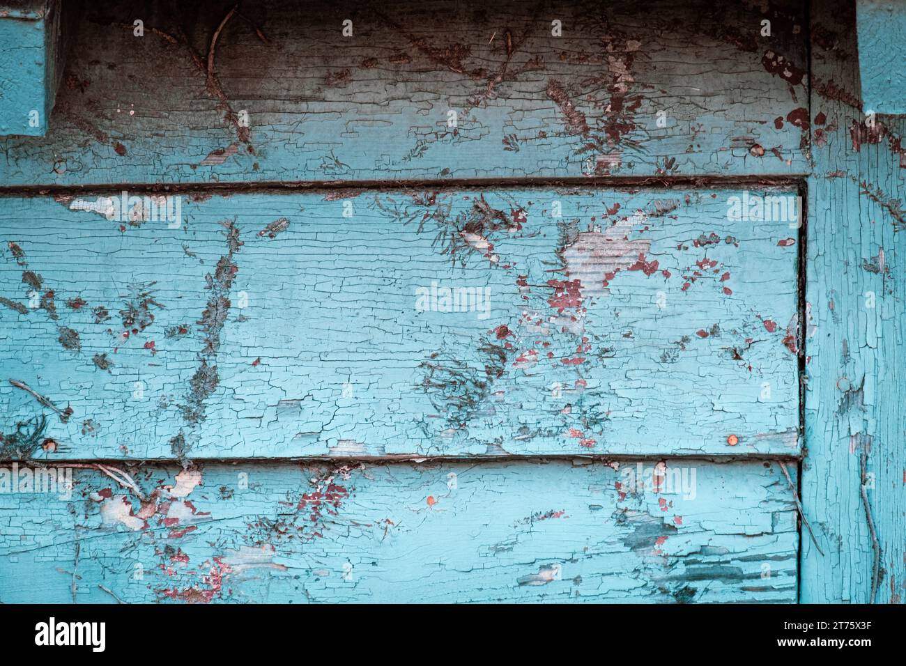 Verstörte Scheune mit hellblauem Schmerz Stockfoto