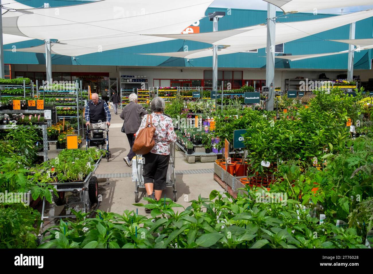 Frau mittleren Alters, die Pflanzen in einem Bunnings Gartencenter in Australien kauft Stockfoto