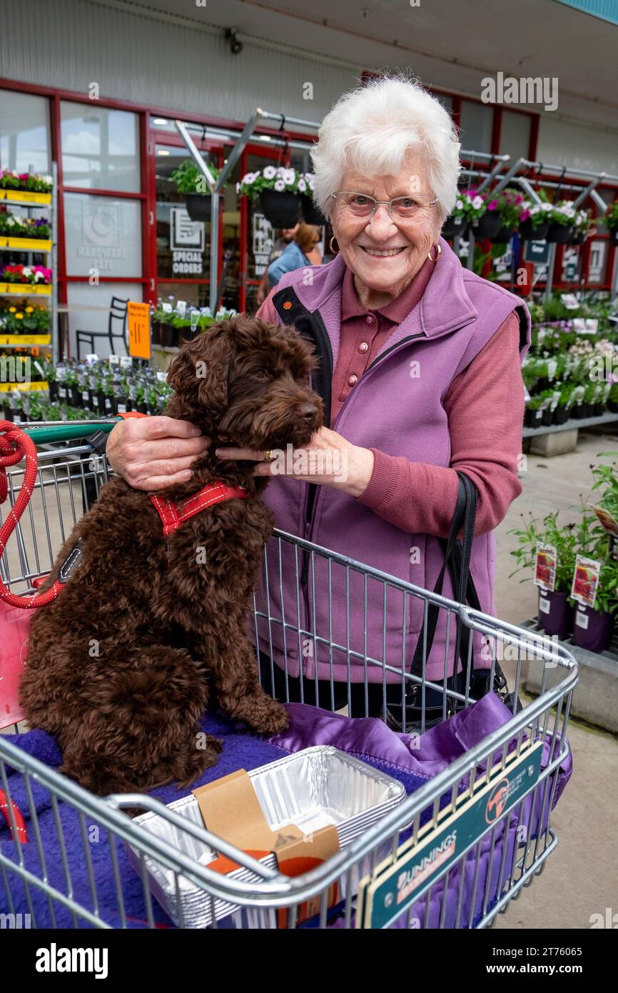 92-jährige italienische Migrantin mit Hund in einem Gartencenter in Tasmanien Stockfoto