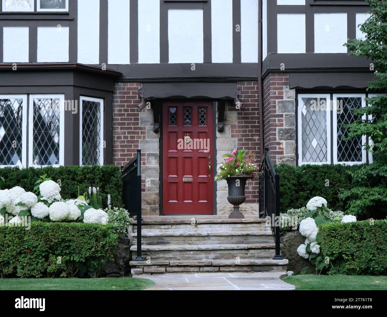 Die Eingangstür des traditionellen, zweistöckigen Hauses im Tudor-Stil mit Hortensie-Büschen in Blüte Stockfoto