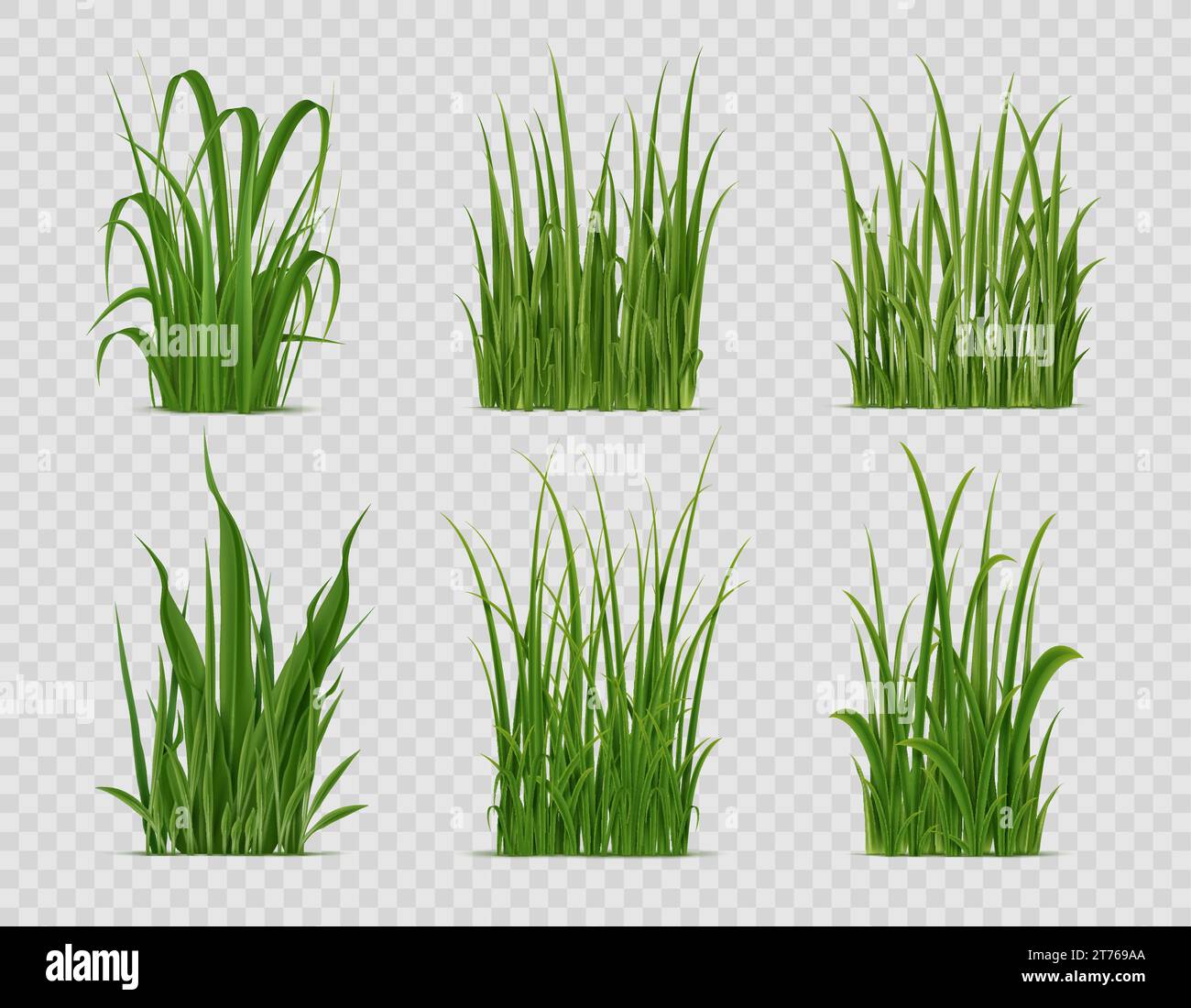 Realistisches Gras, grüne Felder oder Rasenpflanzen, Vektorcharakter. Isolierte 3D-Büschel und Bündel von Frühlingsgarten, Hinterhof- oder Wiesengrasteppich mit frischen grünen Blättern, Klingen und Sprossen Stock Vektor