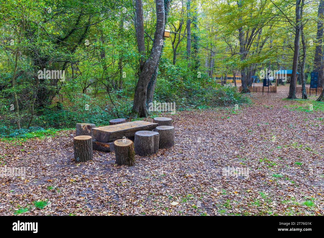 Tisch, Stühle aus Baumstämmen im Wald. Picknickbereich Stockfoto