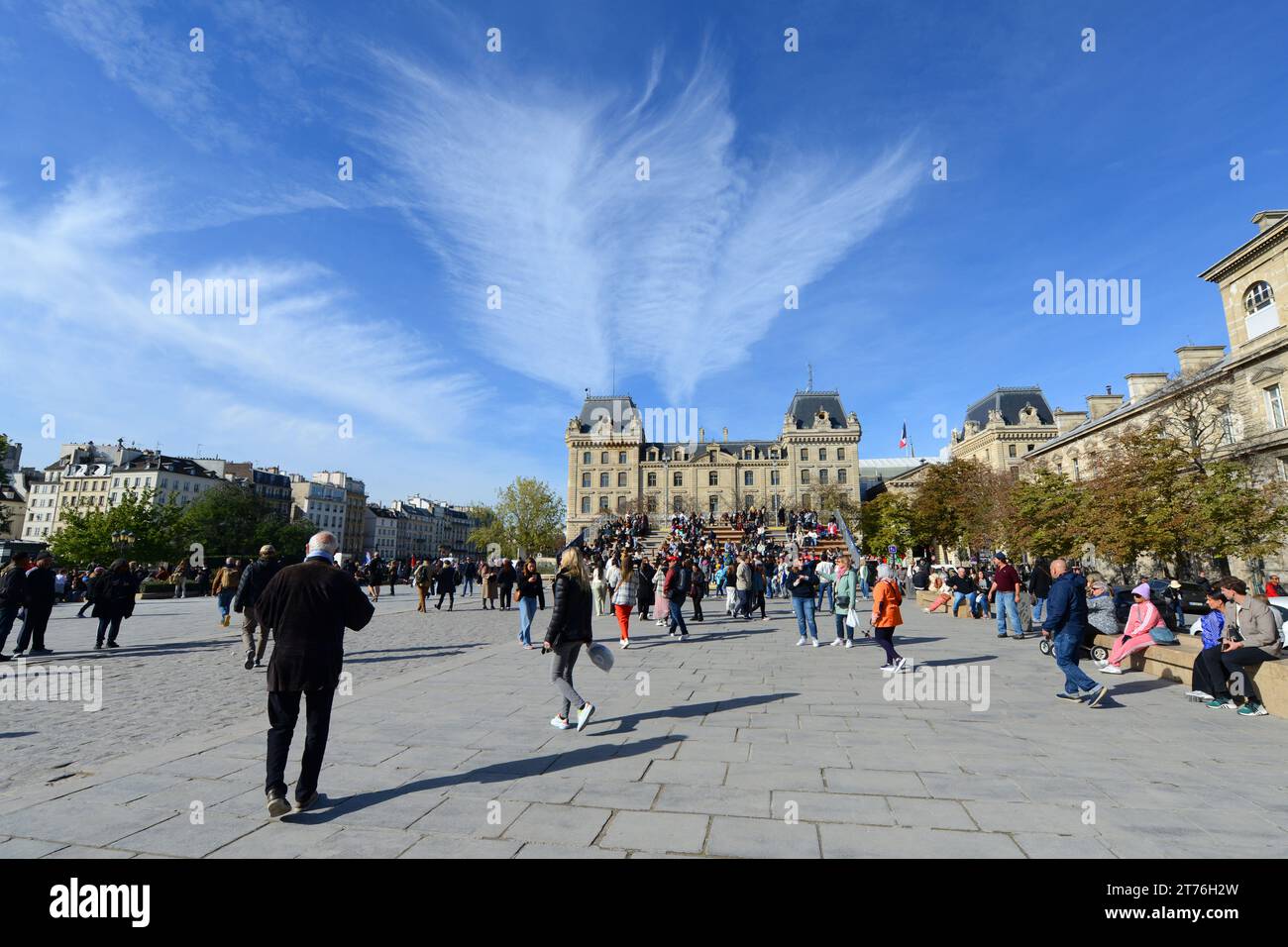 Krähen und genießen den Blick auf die Notre-Dam-Kirche. Parvis Notre Dame - Place Jean-Paul II Paris, Frankreich. Stockfoto