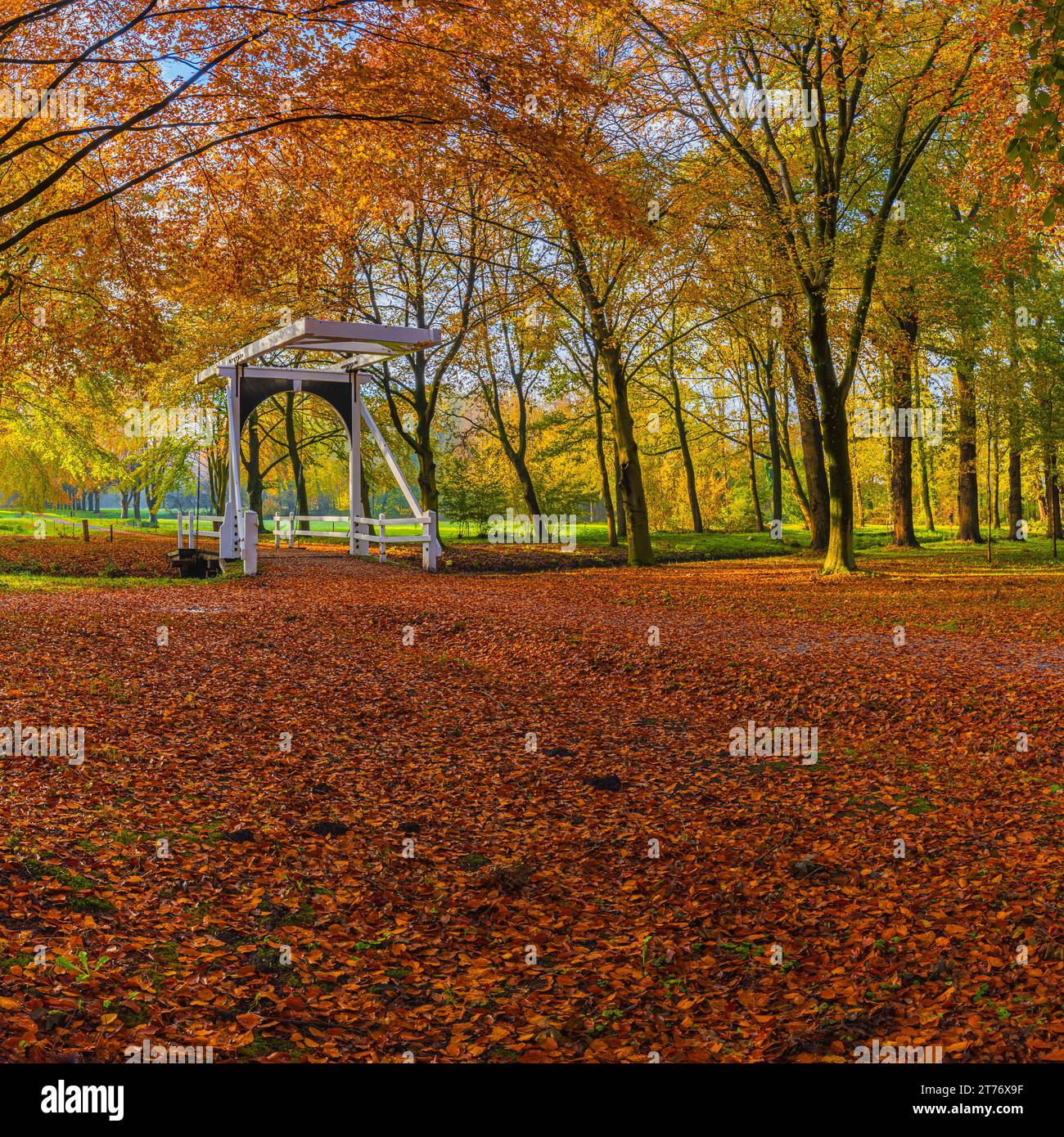 Ein quadratisches Bild aus dem Herbst auf dem Anwesen Ennemaborg in Midwolda im Nordosten der Provinz Groningen, Niederlande. Der Ennemabor Stockfoto