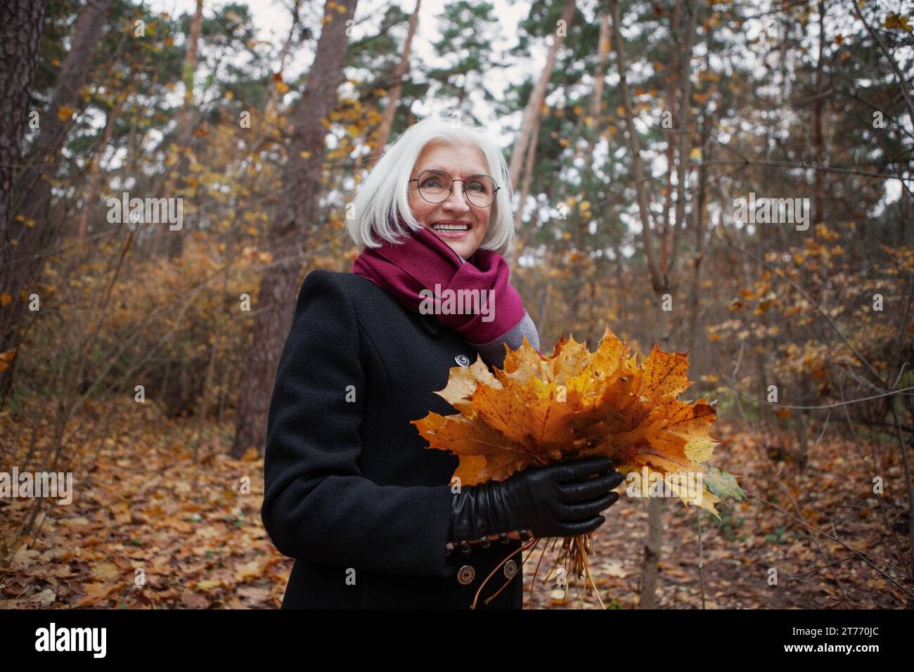 Kaukasische glückliche Seniorin mit Herbstlaub, die im Wald lächelt. Porträt aktive reife Frau mit grauem Haar fühlt sich im Freien gut an. Herbstfarbe Stockfoto