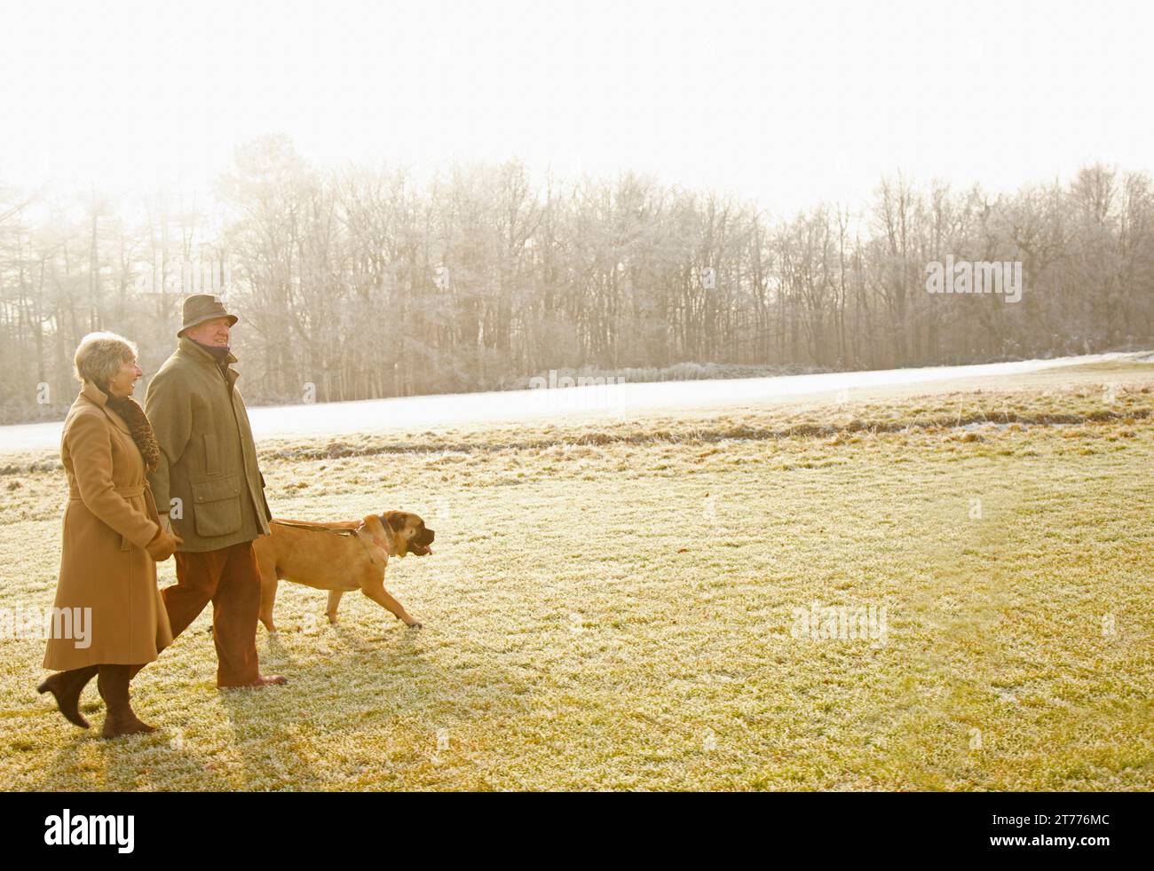 Profil von ein älteres Paar, Wandern mit Hund in einem park Stockfoto
