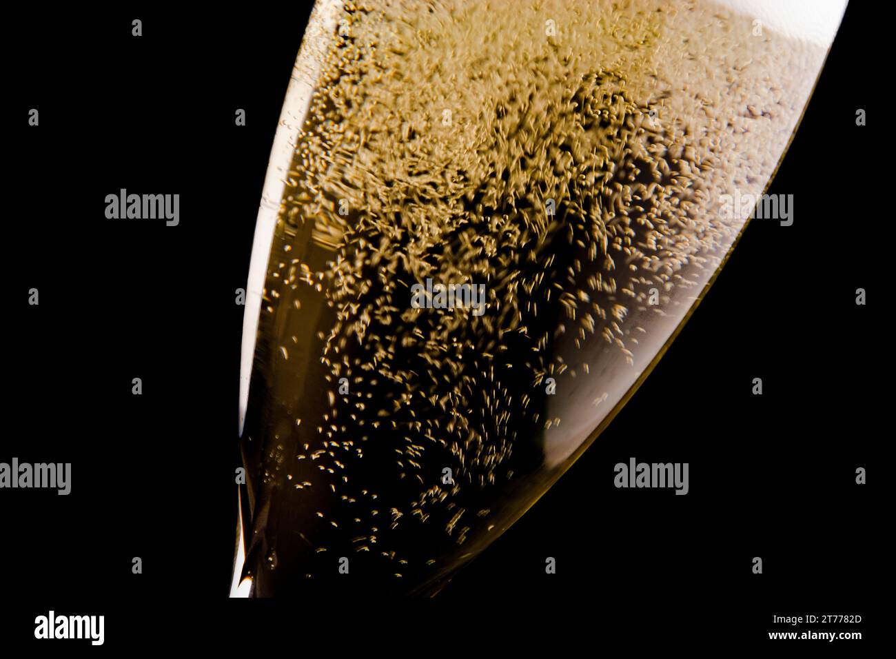 Detail einer Flöte mit vielen Champagnergoldblasen auf schwarzem Hintergrund Stockfoto