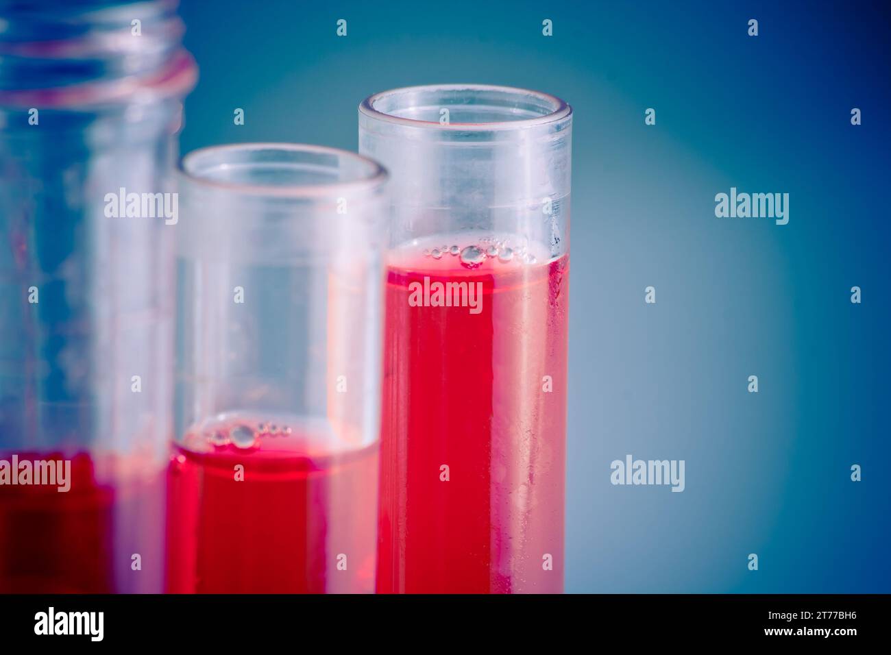 Reagenzgläser mit roter Flüssigkeit im Labor auf hellblauem Hintergrund mit Platz für Text Stockfoto