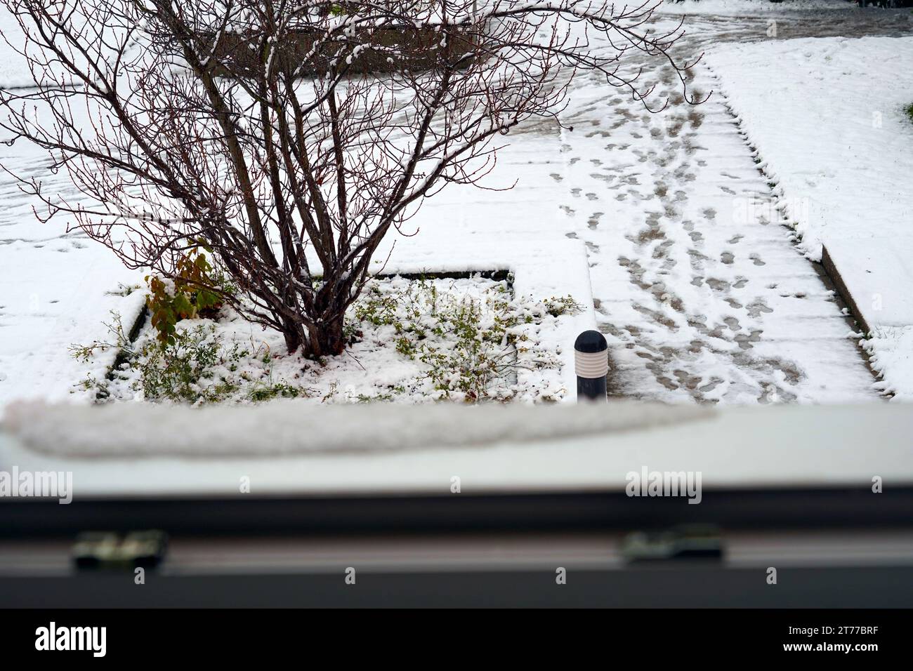 Hof im Winter unter Schnee von einem offenen Fenster. Stockfoto